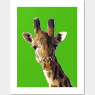 Giraffe Portrait Posters and Art